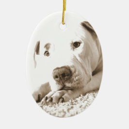 Ornamento De Cerâmica pitbull branco amigável sonolento ódio feito não r