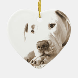 Ornamento De Cerâmica pitbull branco amigável sonolento ódio feito não r