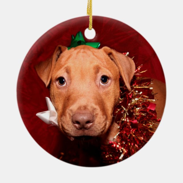 Ornamento De Cerâmica Pitbull filhote de Natal (Traseira)
