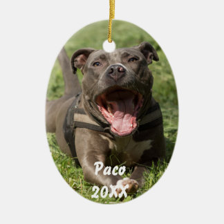Ornamento De Cerâmica Pitbull In Grass