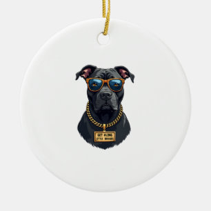 Ornamento De Cerâmica Pitbull Legal Descolado com Óculos de Sol e Corren