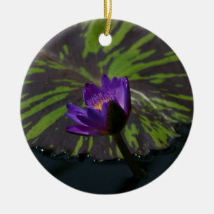 Ornamento De Cerâmica Placas de lírios com lixos com lixos com listras c