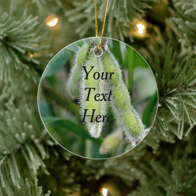 Ornamento De Cerâmica Planta Agrícola de soja Modelo (Árvore)