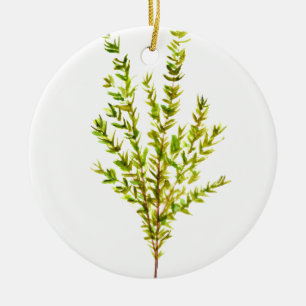Ornamento De Cerâmica Plantas aromáticas por tomilho