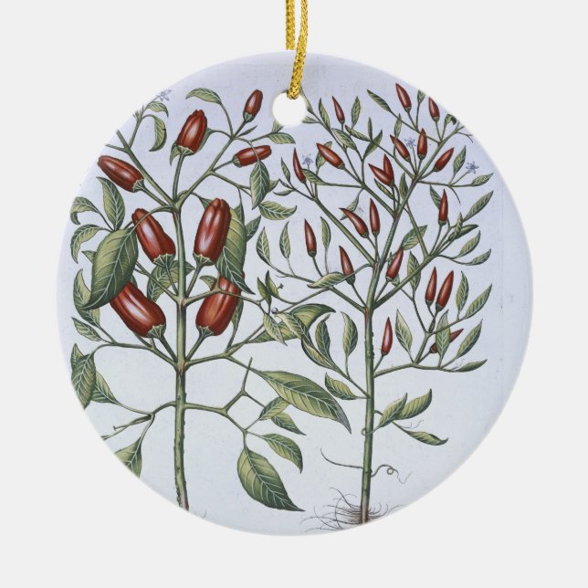 Ornamento De Cerâmica Plantas da pimenta, 'do Hortus Eystettensi (Frente)