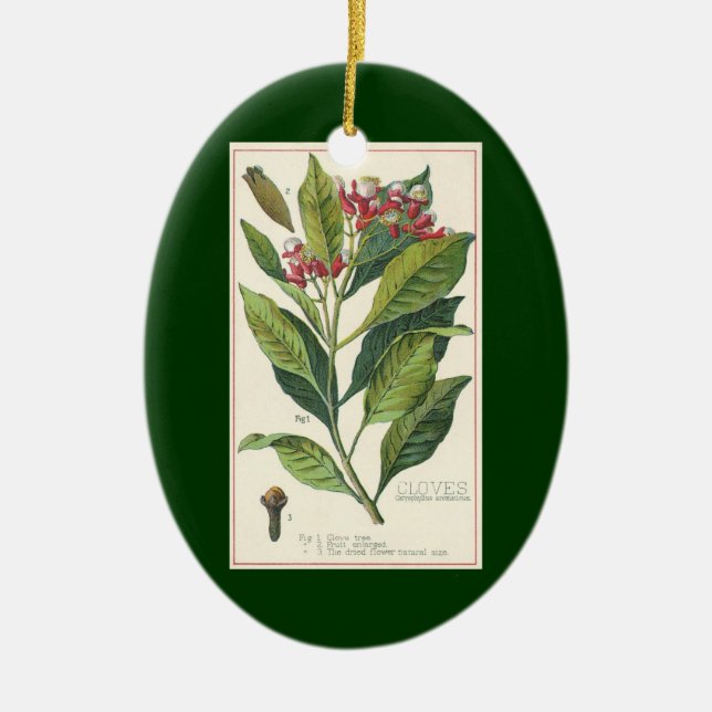 Ornamento De Cerâmica Plantas De Comida Vintage (Frente)