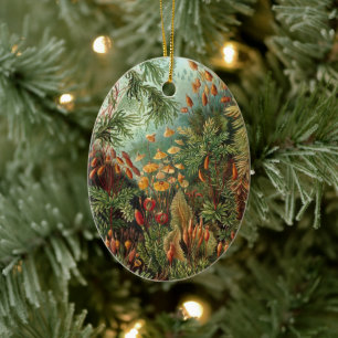 Ornamento De Cerâmica Plantas de Musgo Antigo por Ernst Haeckel, Muscina