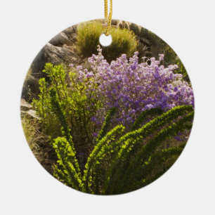 Ornamento De Cerâmica plantas do deserto de Chihuahuan em flor