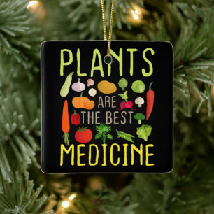 Ornamento De Cerâmica Plantas São O Melhor Medicamento Legal Da Vegetari