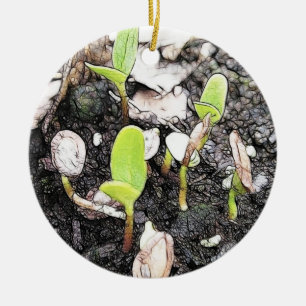 Ornamento De Cerâmica Plântulas recentemente Sprouted