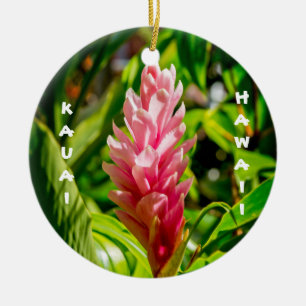 Ornamento De Cerâmica Plumeria e Gengibre do Havaí em Rosa