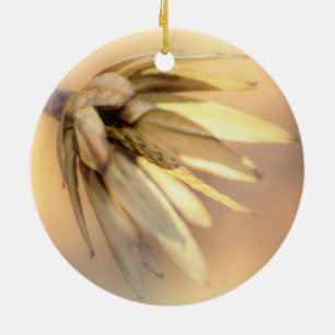 Ornamento De Cerâmica Pod de Semente Vazio de Placa de Tulipa
