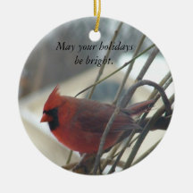 Podem seus feriados ser brilhantes