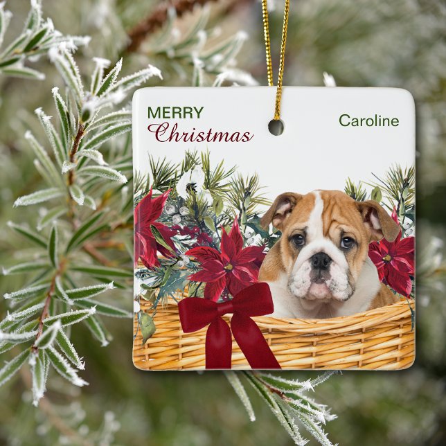 Ornamento De Cerâmica Poinsettia Bulldog Cama de Natal (Criador carregado)