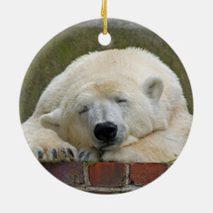 Ornamento De Cerâmica PolarBear20150501