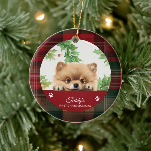 Ornamento De Cerâmica Pomerânia Primeiro Natal Personalizado (Árvore)