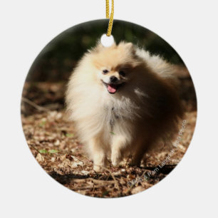 Ornamento De Cerâmica Pomeranian que trota nas folhas caídas