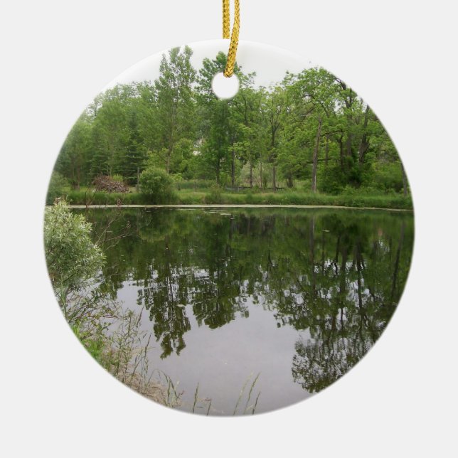 Ornamento De Cerâmica Pond Ornament (Frente)