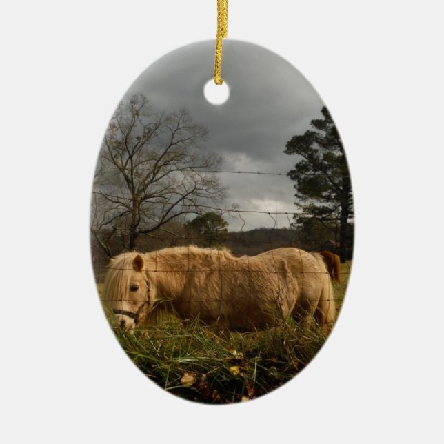 Ornamento De Cerâmica Pônea Loura Miniatura / Cavalo (Frente)