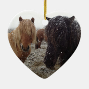 Ornamento De Cerâmica Pôneis islandeses, cavalos da Islândia em presen