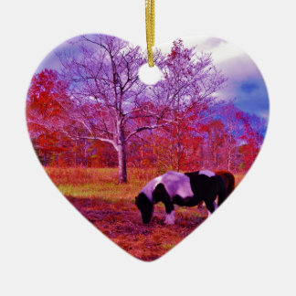 Ornamento De Cerâmica PONY EM UM campo colorido RAINBOW