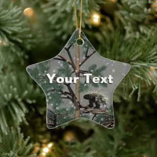 Ornamento De Cerâmica Porcupina Numa Árvore De Pinheiros