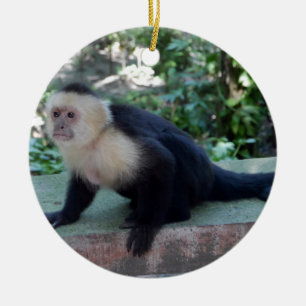 Ornamento De Cerâmica Portrait.JPG