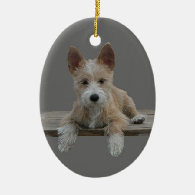 Ornamento De Cerâmica Português Podengo Pequeno do fio (Frente)