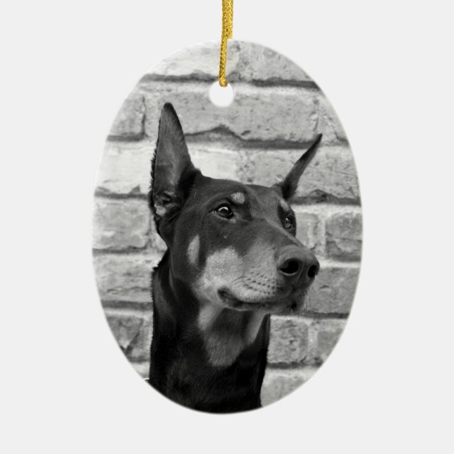 Ornamento De Cerâmica Posso Arruinar Seu Rosto (Frente)