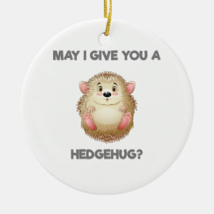 Ornamento De Cerâmica Posso Te Dar Um Hedgehug