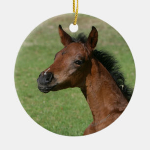 Ornamento De Cerâmica Potro árabe de assento