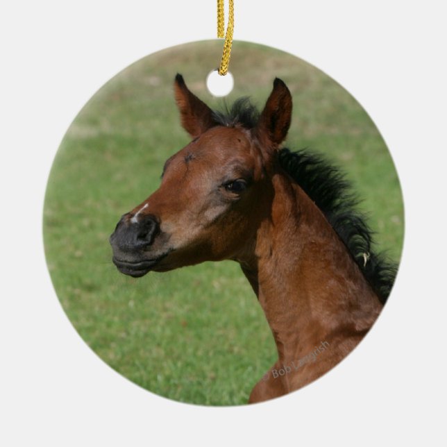 Ornamento De Cerâmica Potro árabe de assento (Frente)