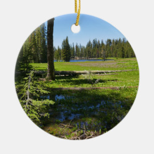 Ornamento De Cerâmica Prado de Yosemite com Estrelas Cadentes