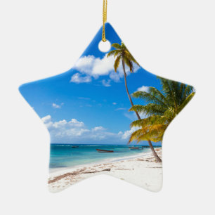 Ornamento De Cerâmica Praia em Saona República Dominicana