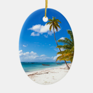 Ornamento De Cerâmica Praia em Saona República Dominicana
