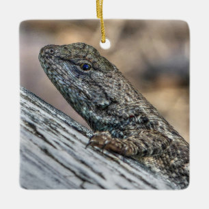 Ornamento De Cerâmica Prairie Lizard