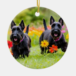 Ornamento De Cerâmica Prances Scottish Terriers em erva e flores