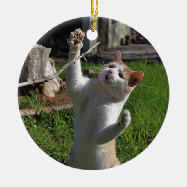 Ornamento De Cerâmica Predador feroz (Frente)