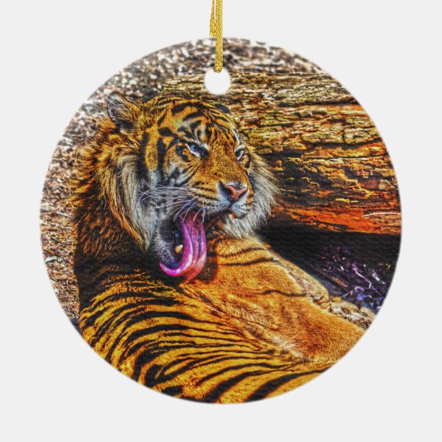 Ornamento De Cerâmica Preening Sumatran Tiger Big Cat Willife Art (Traseira)