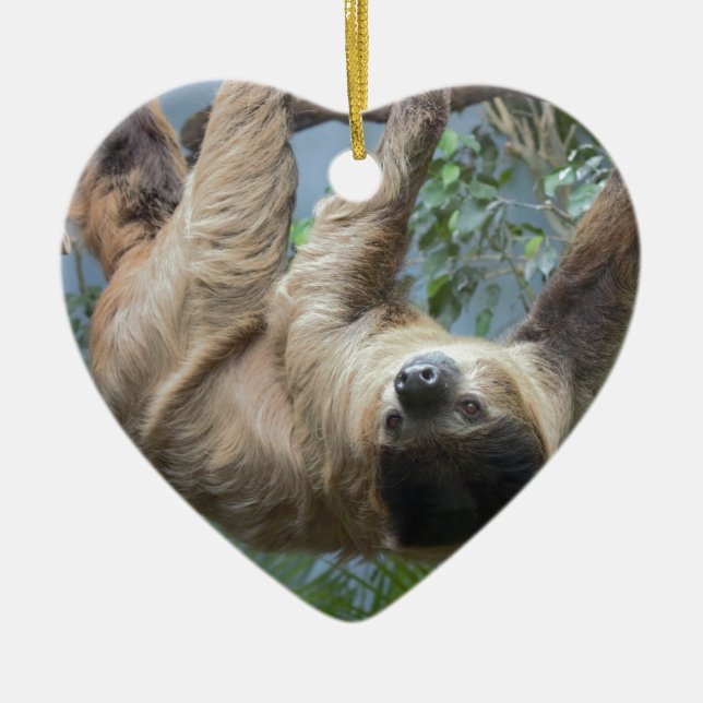 Ornamento De Cerâmica Preguiça (Frente)