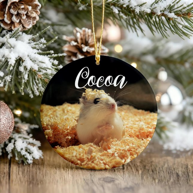 Ornamento De Cerâmica Presente De Hamster Bonito Para Amantes De Hamster (Criador carregado)