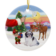 Presente para um Shih Tzu (A)