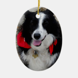 Ornamento De Cerâmica Presentes de border collie