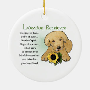 Ornamento De Cerâmica Presentes de Cachorrinho Labrador Retriever Herita