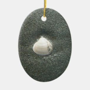 Ornamento De Cerâmica Preso em uma Concha: Serenidade Minimalista de Con
