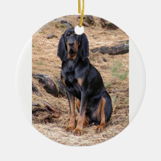Ornamento De Cerâmica Preto e cão do Coonhound de Tan (Frente)