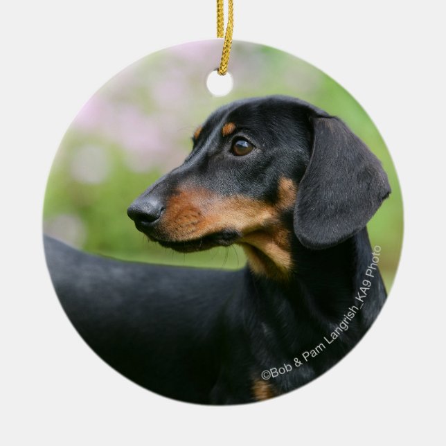 Ornamento De Cerâmica Preto e Dachshund 2 de Tan Miniture (Frente)