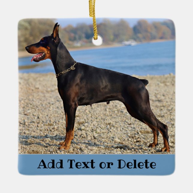 Ornamento De Cerâmica Preto Personalizado e Tan Doberman Pinscher (Frente)