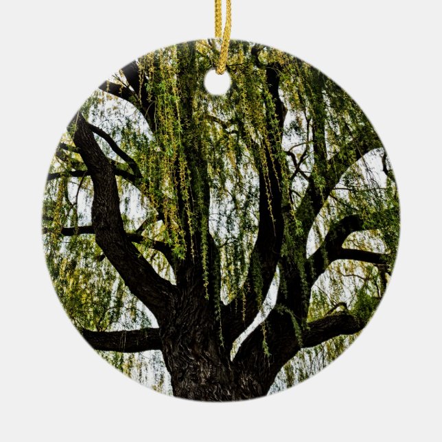 Ornamento De Cerâmica primavera espera silenciada (Frente)