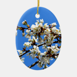 Ornamento De Cerâmica primavera floresce
